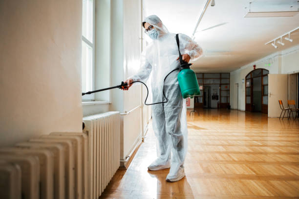 Best Pest Prevention Services  in Bethlehem, WV